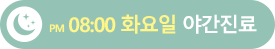 pm 08:00 화요일 야간진료
